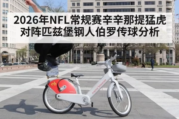 2026年NFL常规赛辛辛那提猛虎对阵匹兹堡钢人伯罗传球分析